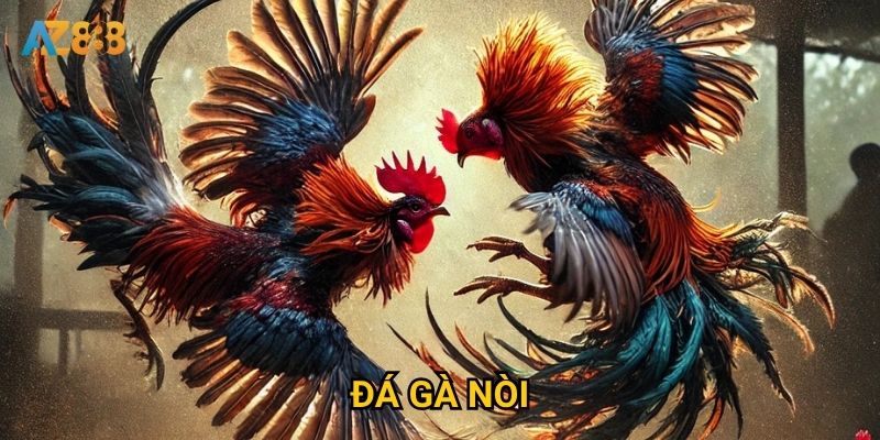 Đá gà nòi trên Az888 có gì khác biệt so với các sàn khác?