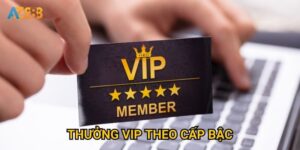 Thưởng VIP theo cấp bậc Az888 có thực sự xứng đáng với sự đầu tư?