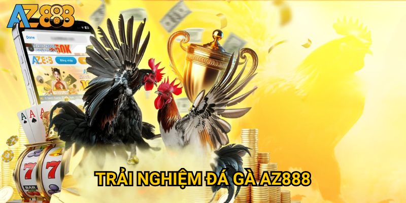 Trải nghiệm đá gà Az888